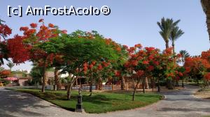 [P28] frumosii copaci infloriti » foto by elenaadina
 - 
<span class="allrVoted glyphicon glyphicon-heart hidden" id="av1263542"></span>
<a class="m-l-10 hidden" id="sv1263542" onclick="voting_Foto_DelVot(,1263542,2513)" role="button">șterge vot <span class="glyphicon glyphicon-remove"></span></a>
<a id="v91263542" class=" c-red"  onclick="voting_Foto_SetVot(1263542)" role="button"><span class="glyphicon glyphicon-heart-empty"></span> <b>LIKE</b> = Votează poza</a> <img class="hidden"  id="f1263542W9" src="/imagini/loader.gif" border="0" /><span class="AjErrMes hidden" id="e1263542ErM"></span>