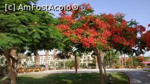 [P29] frumosii copaci infloriti » foto by elenaadina
 - 
<span class="allrVoted glyphicon glyphicon-heart hidden" id="av1263544"></span>
<a class="m-l-10 hidden" id="sv1263544" onclick="voting_Foto_DelVot(,1263544,2513)" role="button">șterge vot <span class="glyphicon glyphicon-remove"></span></a>
<a id="v91263544" class=" c-red"  onclick="voting_Foto_SetVot(1263544)" role="button"><span class="glyphicon glyphicon-heart-empty"></span> <b>LIKE</b> = Votează poza</a> <img class="hidden"  id="f1263544W9" src="/imagini/loader.gif" border="0" /><span class="AjErrMes hidden" id="e1263544ErM"></span>