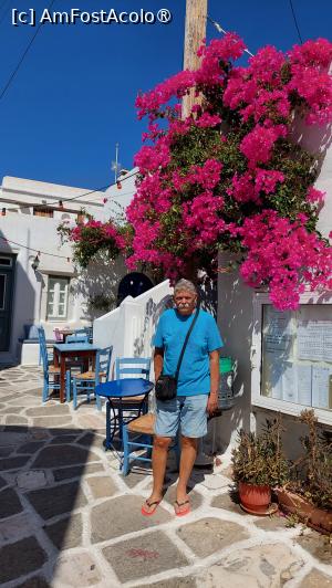 [P39] Adrian pozând lângă o bougainvillea » foto by Carmen Ion
 - 
<span class="allrVoted glyphicon glyphicon-heart hidden" id="av1421422"></span>
<a class="m-l-10 hidden" id="sv1421422" onclick="voting_Foto_DelVot(,1421422,2566)" role="button">șterge vot <span class="glyphicon glyphicon-remove"></span></a>
<a id="v91421422" class=" c-red"  onclick="voting_Foto_SetVot(1421422)" role="button"><span class="glyphicon glyphicon-heart-empty"></span> <b>LIKE</b> = Votează poza</a> <img class="hidden"  id="f1421422W9" src="/imagini/loader.gif" border="0" /><span class="AjErrMes hidden" id="e1421422ErM"></span>