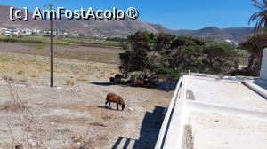 [P26] Parasporos Beach - caprele pasc netulburate » foto by Carmen Ion
 - 
<span class="allrVoted glyphicon glyphicon-heart hidden" id="av1422215"></span>
<a class="m-l-10 hidden" id="sv1422215" onclick="voting_Foto_DelVot(,1422215,2566)" role="button">șterge vot <span class="glyphicon glyphicon-remove"></span></a>
<a id="v91422215" class=" c-red"  onclick="voting_Foto_SetVot(1422215)" role="button"><span class="glyphicon glyphicon-heart-empty"></span> <b>LIKE</b> = Votează poza</a> <img class="hidden"  id="f1422215W9" src="/imagini/loader.gif" border="0" /><span class="AjErrMes hidden" id="e1422215ErM"></span>