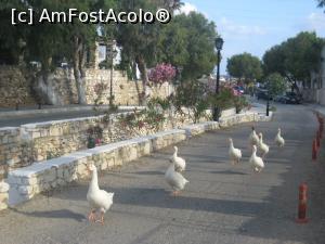 P08 [JUN-2016] Centrul din Noussa, o strada lunga ce coboara spre port