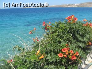 [P16] Intre 'Paradise Club' si plaja Martselo, incepe salbaticia » foto by dorgo
 - 
<span class="allrVoted glyphicon glyphicon-heart hidden" id="av832149"></span>
<a class="m-l-10 hidden" id="sv832149" onclick="voting_Foto_DelVot(,832149,2566)" role="button">șterge vot <span class="glyphicon glyphicon-remove"></span></a>
<a id="v9832149" class=" c-red"  onclick="voting_Foto_SetVot(832149)" role="button"><span class="glyphicon glyphicon-heart-empty"></span> <b>LIKE</b> = Votează poza</a> <img class="hidden"  id="f832149W9" src="/imagini/loader.gif" border="0" /><span class="AjErrMes hidden" id="e832149ErM"></span>