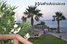 [P03] poza din Cretan star taverna, de unde puteti lua cina gratiut ptr cei cu All » foto by nela_loly*
 - 
<span class="allrVoted glyphicon glyphicon-heart hidden" id="av430899"></span>
<a class="m-l-10 hidden" id="sv430899" onclick="voting_Foto_DelVot(,430899,2569)" role="button">șterge vot <span class="glyphicon glyphicon-remove"></span></a>
<a id="v9430899" class=" c-red"  onclick="voting_Foto_SetVot(430899)" role="button"><span class="glyphicon glyphicon-heart-empty"></span> <b>LIKE</b> = Votează poza</a> <img class="hidden"  id="f430899W9" src="/imagini/loader.gif" border="0" /><span class="AjErrMes hidden" id="e430899ErM"></span>