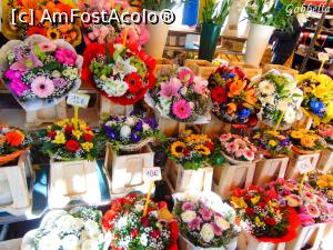 [P07] Cours Saleya, piata de flori » foto by GabrielaG
 - 
<span class="allrVoted glyphicon glyphicon-heart hidden" id="av724619"></span>
<a class="m-l-10 hidden" id="sv724619" onclick="voting_Foto_DelVot(,724619,2571)" role="button">șterge vot <span class="glyphicon glyphicon-remove"></span></a>
<a id="v9724619" class=" c-red"  onclick="voting_Foto_SetVot(724619)" role="button"><span class="glyphicon glyphicon-heart-empty"></span> <b>LIKE</b> = Votează poza</a> <img class="hidden"  id="f724619W9" src="/imagini/loader.gif" border="0" /><span class="AjErrMes hidden" id="e724619ErM"></span>
