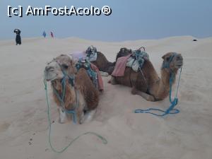 P02 [JUN-2021] A doua vacanță în Tunisia – cu cămilele în Sahara