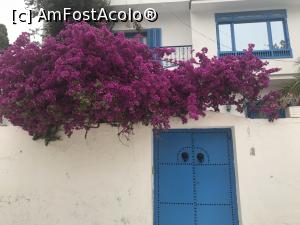 P25 [JUN-2019] Cu avionul în Tunisia - prin Sidi Bou Said