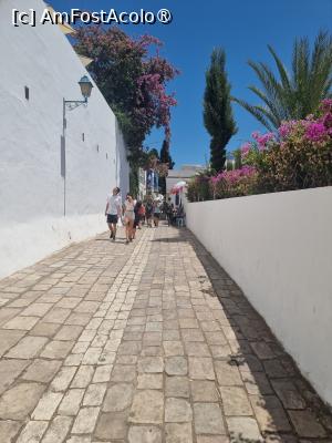 [P25] prin orasul Sidi Bou Said » foto by robert
 - 
<span class="allrVoted glyphicon glyphicon-heart hidden" id="av1411244"></span>
<a class="m-l-10 hidden" id="sv1411244" onclick="voting_Foto_DelVot(,1411244,2617)" role="button">șterge vot <span class="glyphicon glyphicon-remove"></span></a>
<a id="v91411244" class=" c-red"  onclick="voting_Foto_SetVot(1411244)" role="button"><span class="glyphicon glyphicon-heart-empty"></span> <b>LIKE</b> = Votează poza</a> <img class="hidden"  id="f1411244W9" src="/imagini/loader.gif" border="0" /><span class="AjErrMes hidden" id="e1411244ErM"></span>