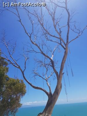 [P16] Sadi bou said - Santorini al Tunisiei » foto by gabivoicu
 - 
<span class="allrVoted glyphicon glyphicon-heart hidden" id="av1273819"></span>
<a class="m-l-10 hidden" id="sv1273819" onclick="voting_Foto_DelVot(,1273819,2617)" role="button">șterge vot <span class="glyphicon glyphicon-remove"></span></a>
<a id="v91273819" class=" c-red"  onclick="voting_Foto_SetVot(1273819)" role="button"><span class="glyphicon glyphicon-heart-empty"></span> <b>LIKE</b> = Votează poza</a> <img class="hidden"  id="f1273819W9" src="/imagini/loader.gif" border="0" /><span class="AjErrMes hidden" id="e1273819ErM"></span>