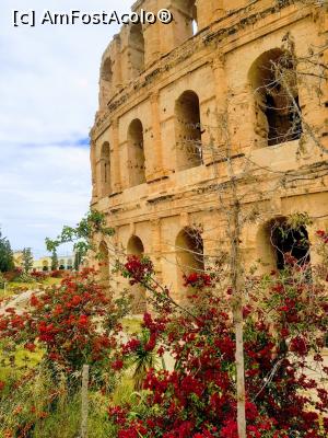 [P25] El jem Colosseum » foto by gabivoicu
 - 
<span class="allrVoted glyphicon glyphicon-heart hidden" id="av1273828"></span>
<a class="m-l-10 hidden" id="sv1273828" onclick="voting_Foto_DelVot(,1273828,2617)" role="button">șterge vot <span class="glyphicon glyphicon-remove"></span></a>
<a id="v91273828" class=" c-red"  onclick="voting_Foto_SetVot(1273828)" role="button"><span class="glyphicon glyphicon-heart-empty"></span> <b>LIKE</b> = Votează poza</a> <img class="hidden"  id="f1273828W9" src="/imagini/loader.gif" border="0" /><span class="AjErrMes hidden" id="e1273828ErM"></span>