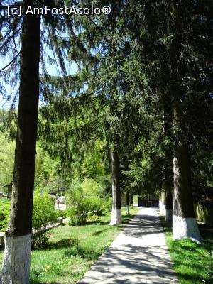 [P04] Aleea umbroasă ne conduce spre ansamblul monahal.  » foto by tata123 🔱
 - 
<span class="allrVoted glyphicon glyphicon-heart hidden" id="av963611"></span>
<a class="m-l-10 hidden" id="sv963611" onclick="voting_Foto_DelVot(,963611,2618)" role="button">șterge vot <span class="glyphicon glyphicon-remove"></span></a>
<a id="v9963611" class=" c-red"  onclick="voting_Foto_SetVot(963611)" role="button"><span class="glyphicon glyphicon-heart-empty"></span> <b>LIKE</b> = Votează poza</a> <img class="hidden"  id="f963611W9" src="/imagini/loader.gif" border="0" /><span class="AjErrMes hidden" id="e963611ErM"></span>