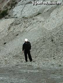 [P17] Pe marginea șoselei... » foto by Floryn81
 - 
<span class="allrVoted glyphicon glyphicon-heart hidden" id="av313205"></span>
<a class="m-l-10 hidden" id="sv313205" onclick="voting_Foto_DelVot(,313205,2677)" role="button">șterge vot <span class="glyphicon glyphicon-remove"></span></a>
<a id="v9313205" class=" c-red"  onclick="voting_Foto_SetVot(313205)" role="button"><span class="glyphicon glyphicon-heart-empty"></span> <b>LIKE</b> = Votează poza</a> <img class="hidden"  id="f313205W9" src="/imagini/loader.gif" border="0" /><span class="AjErrMes hidden" id="e313205ErM"></span>