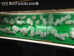 [P11] sare cristalizata » foto by Dan&Ema
 - 
<span class="allrVoted glyphicon glyphicon-heart hidden" id="av726868"></span>
<a class="m-l-10 hidden" id="sv726868" onclick="voting_Foto_DelVot(,726868,2677)" role="button">șterge vot <span class="glyphicon glyphicon-remove"></span></a>
<a id="v9726868" class=" c-red"  onclick="voting_Foto_SetVot(726868)" role="button"><span class="glyphicon glyphicon-heart-empty"></span> <b>LIKE</b> = Votează poza</a> <img class="hidden"  id="f726868W9" src="/imagini/loader.gif" border="0" /><span class="AjErrMes hidden" id="e726868ErM"></span>