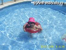 [P02]  -- <small>// FĂRĂ DESCRIERE</small> » foto by Mate
 - 
<span class="allrVoted glyphicon glyphicon-heart hidden" id="av29852"></span>
<a class="m-l-10 hidden" id="sv29852" onclick="voting_Foto_DelVot(,29852,2682)" role="button">șterge vot <span class="glyphicon glyphicon-remove"></span></a>
<a id="v929852" class=" c-red"  onclick="voting_Foto_SetVot(29852)" role="button"><span class="glyphicon glyphicon-heart-empty"></span> <b>LIKE</b> = Votează poza</a> <img class="hidden"  id="f29852W9" src="/imagini/loader.gif" border="0" /><span class="AjErrMes hidden" id="e29852ErM"></span>