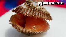 [P48]  -- <small>// FĂRĂ DESCRIERE</small> » foto by ireedeejay
 - 
<span class="allrVoted glyphicon glyphicon-heart hidden" id="av221486"></span>
<a class="m-l-10 hidden" id="sv221486" onclick="voting_Foto_DelVot(,221486,2689)" role="button">șterge vot <span class="glyphicon glyphicon-remove"></span></a>
<a id="v9221486" class=" c-red"  onclick="voting_Foto_SetVot(221486)" role="button"><span class="glyphicon glyphicon-heart-empty"></span> <b>LIKE</b> = Votează poza</a> <img class="hidden"  id="f221486W9" src="/imagini/loader.gif" border="0" /><span class="AjErrMes hidden" id="e221486ErM"></span>