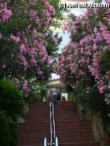 [P06] asa erau leandri... » foto by maria10
 - 
<span class="allrVoted glyphicon glyphicon-heart hidden" id="av9855"></span>
<a class="m-l-10 hidden" id="sv9855" onclick="voting_Foto_DelVot(,9855,2733)" role="button">șterge vot <span class="glyphicon glyphicon-remove"></span></a>
<a id="v99855" class=" c-red"  onclick="voting_Foto_SetVot(9855)" role="button"><span class="glyphicon glyphicon-heart-empty"></span> <b>LIKE</b> = Votează poza</a> <img class="hidden"  id="f9855W9" src="/imagini/loader.gif" border="0" /><span class="AjErrMes hidden" id="e9855ErM"></span>