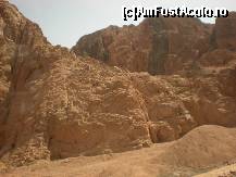 [P20]  -- <small>// FĂRĂ DESCRIERE</small> » foto by iris2010
 - 
<span class="allrVoted glyphicon glyphicon-heart hidden" id="av117248"></span>
<a class="m-l-10 hidden" id="sv117248" onclick="voting_Foto_DelVot(,117248,2768)" role="button">șterge vot <span class="glyphicon glyphicon-remove"></span></a>
<a id="v9117248" class=" c-red"  onclick="voting_Foto_SetVot(117248)" role="button"><span class="glyphicon glyphicon-heart-empty"></span> <b>LIKE</b> = Votează poza</a> <img class="hidden"  id="f117248W9" src="/imagini/loader.gif" border="0" /><span class="AjErrMes hidden" id="e117248ErM"></span>