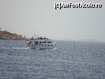 [P08]  -- <small>// FĂRĂ DESCRIERE</small> » foto by raluca06
 - 
<span class="allrVoted glyphicon glyphicon-heart hidden" id="av100731"></span>
<a class="m-l-10 hidden" id="sv100731" onclick="voting_Foto_DelVot(,100731,2768)" role="button">șterge vot <span class="glyphicon glyphicon-remove"></span></a>
<a id="v9100731" class=" c-red"  onclick="voting_Foto_SetVot(100731)" role="button"><span class="glyphicon glyphicon-heart-empty"></span> <b>LIKE</b> = Votează poza</a> <img class="hidden"  id="f100731W9" src="/imagini/loader.gif" border="0" /><span class="AjErrMes hidden" id="e100731ErM"></span>