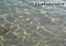 [P10] Malul Marii » foto by cami1212
 - 
<span class="allrVoted glyphicon glyphicon-heart hidden" id="av187206"></span>
<a class="m-l-10 hidden" id="sv187206" onclick="voting_Foto_DelVot(,187206,2768)" role="button">șterge vot <span class="glyphicon glyphicon-remove"></span></a>
<a id="v9187206" class=" c-red"  onclick="voting_Foto_SetVot(187206)" role="button"><span class="glyphicon glyphicon-heart-empty"></span> <b>LIKE</b> = Votează poza</a> <img class="hidden"  id="f187206W9" src="/imagini/loader.gif" border="0" /><span class="AjErrMes hidden" id="e187206ErM"></span>