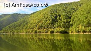 [P19] Lacul de acumulare » foto by AZE
 - 
<span class="allrVoted glyphicon glyphicon-heart hidden" id="av903352"></span>
<a class="m-l-10 hidden" id="sv903352" onclick="voting_Foto_DelVot(,903352,2783)" role="button">șterge vot <span class="glyphicon glyphicon-remove"></span></a>
<a id="v9903352" class=" c-red"  onclick="voting_Foto_SetVot(903352)" role="button"><span class="glyphicon glyphicon-heart-empty"></span> <b>LIKE</b> = Votează poza</a> <img class="hidden"  id="f903352W9" src="/imagini/loader.gif" border="0" /><span class="AjErrMes hidden" id="e903352ErM"></span>