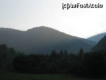 [P03]  -- <small>// FĂRĂ DESCRIERE</small> » foto by raly
 - 
<span class="allrVoted glyphicon glyphicon-heart hidden" id="av126654"></span>
<a class="m-l-10 hidden" id="sv126654" onclick="voting_Foto_DelVot(,126654,2783)" role="button">șterge vot <span class="glyphicon glyphicon-remove"></span></a>
<a id="v9126654" class=" c-red"  onclick="voting_Foto_SetVot(126654)" role="button"><span class="glyphicon glyphicon-heart-empty"></span> <b>LIKE</b> = Votează poza</a> <img class="hidden"  id="f126654W9" src="/imagini/loader.gif" border="0" /><span class="AjErrMes hidden" id="e126654ErM"></span>
