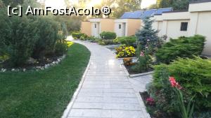 [P01]  -- <small>// FĂRĂ DESCRIERE</small> » foto by Pandora28*
 - 
<span class="allrVoted glyphicon glyphicon-heart hidden" id="av999679"></span>
<a class="m-l-10 hidden" id="sv999679" onclick="voting_Foto_DelVot(,999679,2785)" role="button">șterge vot <span class="glyphicon glyphicon-remove"></span></a>
<a id="v9999679" class=" c-red"  onclick="voting_Foto_SetVot(999679)" role="button"><span class="glyphicon glyphicon-heart-empty"></span> <b>LIKE</b> = Votează poza</a> <img class="hidden"  id="f999679W9" src="/imagini/loader.gif" border="0" /><span class="AjErrMes hidden" id="e999679ErM"></span>