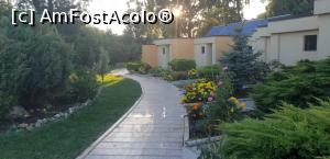 [P11]  -- <small>// FĂRĂ DESCRIERE</small> » foto by Pandora28*
 - 
<span class="allrVoted glyphicon glyphicon-heart hidden" id="av999689"></span>
<a class="m-l-10 hidden" id="sv999689" onclick="voting_Foto_DelVot(,999689,2785)" role="button">șterge vot <span class="glyphicon glyphicon-remove"></span></a>
<a id="v9999689" class=" c-red"  onclick="voting_Foto_SetVot(999689)" role="button"><span class="glyphicon glyphicon-heart-empty"></span> <b>LIKE</b> = Votează poza</a> <img class="hidden"  id="f999689W9" src="/imagini/loader.gif" border="0" /><span class="AjErrMes hidden" id="e999689ErM"></span>