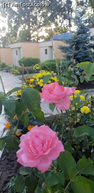 [P12]  -- <small>// FĂRĂ DESCRIERE</small> » foto by Pandora28*
 - 
<span class="allrVoted glyphicon glyphicon-heart hidden" id="av999690"></span>
<a class="m-l-10 hidden" id="sv999690" onclick="voting_Foto_DelVot(,999690,2785)" role="button">șterge vot <span class="glyphicon glyphicon-remove"></span></a>
<a id="v9999690" class=" c-red"  onclick="voting_Foto_SetVot(999690)" role="button"><span class="glyphicon glyphicon-heart-empty"></span> <b>LIKE</b> = Votează poza</a> <img class="hidden"  id="f999690W9" src="/imagini/loader.gif" border="0" /><span class="AjErrMes hidden" id="e999690ErM"></span>