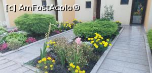 [P13]  -- <small>// FĂRĂ DESCRIERE</small> » foto by Pandora28*
 - 
<span class="allrVoted glyphicon glyphicon-heart hidden" id="av999691"></span>
<a class="m-l-10 hidden" id="sv999691" onclick="voting_Foto_DelVot(,999691,2785)" role="button">șterge vot <span class="glyphicon glyphicon-remove"></span></a>
<a id="v9999691" class=" c-red"  onclick="voting_Foto_SetVot(999691)" role="button"><span class="glyphicon glyphicon-heart-empty"></span> <b>LIKE</b> = Votează poza</a> <img class="hidden"  id="f999691W9" src="/imagini/loader.gif" border="0" /><span class="AjErrMes hidden" id="e999691ErM"></span>