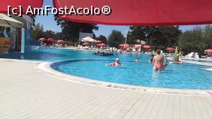 [P05]  -- <small>// FĂRĂ DESCRIERE</small> » foto by Pandora28*
 - 
<span class="allrVoted glyphicon glyphicon-heart hidden" id="av999683"></span>
<a class="m-l-10 hidden" id="sv999683" onclick="voting_Foto_DelVot(,999683,2785)" role="button">șterge vot <span class="glyphicon glyphicon-remove"></span></a>
<a id="v9999683" class=" c-red"  onclick="voting_Foto_SetVot(999683)" role="button"><span class="glyphicon glyphicon-heart-empty"></span> <b>LIKE</b> = Votează poza</a> <img class="hidden"  id="f999683W9" src="/imagini/loader.gif" border="0" /><span class="AjErrMes hidden" id="e999683ErM"></span>