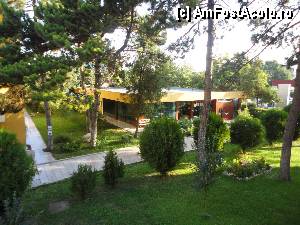 [P14]  -- <small>// FĂRĂ DESCRIERE</small> » foto by maria.ar
 - 
<span class="allrVoted glyphicon glyphicon-heart hidden" id="av362205"></span>
<a class="m-l-10 hidden" id="sv362205" onclick="voting_Foto_DelVot(,362205,2785)" role="button">șterge vot <span class="glyphicon glyphicon-remove"></span></a>
<a id="v9362205" class=" c-red"  onclick="voting_Foto_SetVot(362205)" role="button"><span class="glyphicon glyphicon-heart-empty"></span> <b>LIKE</b> = Votează poza</a> <img class="hidden"  id="f362205W9" src="/imagini/loader.gif" border="0" /><span class="AjErrMes hidden" id="e362205ErM"></span>