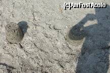 [P06] Hotel Modern Mamaia - nisipul, asa cum il stiti, in Mamaia, adica excelent. » foto by creivean
 - 
<span class="allrVoted glyphicon glyphicon-heart hidden" id="av136301"></span>
<a class="m-l-10 hidden" id="sv136301" onclick="voting_Foto_DelVot(,136301,2817)" role="button">șterge vot <span class="glyphicon glyphicon-remove"></span></a>
<a id="v9136301" class=" c-red"  onclick="voting_Foto_SetVot(136301)" role="button"><span class="glyphicon glyphicon-heart-empty"></span> <b>LIKE</b> = Votează poza</a> <img class="hidden"  id="f136301W9" src="/imagini/loader.gif" border="0" /><span class="AjErrMes hidden" id="e136301ErM"></span>