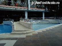 [P08] Piscina » foto by blueskin0505
 - 
<span class="allrVoted glyphicon glyphicon-heart hidden" id="av325597"></span>
<a class="m-l-10 hidden" id="sv325597" onclick="voting_Foto_DelVot(,325597,2826)" role="button">șterge vot <span class="glyphicon glyphicon-remove"></span></a>
<a id="v9325597" class=" c-red"  onclick="voting_Foto_SetVot(325597)" role="button"><span class="glyphicon glyphicon-heart-empty"></span> <b>LIKE</b> = Votează poza</a> <img class="hidden"  id="f325597W9" src="/imagini/loader.gif" border="0" /><span class="AjErrMes hidden" id="e325597ErM"></span>