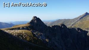 [P07] oite pe Saua Paltinului (2345 m) si 2 caini albi superbi si prietenosi, cu care poti sa-ti faci si selfie-uri » foto by raducondurache
 - 
<span class="allrVoted glyphicon glyphicon-heart hidden" id="av895288"></span>
<a class="m-l-10 hidden" id="sv895288" onclick="voting_Foto_DelVot(,895288,2855)" role="button">șterge vot <span class="glyphicon glyphicon-remove"></span></a>
<a id="v9895288" class=" c-red"  onclick="voting_Foto_SetVot(895288)" role="button"><span class="glyphicon glyphicon-heart-empty"></span> <b>LIKE</b> = Votează poza</a> <img class="hidden"  id="f895288W9" src="/imagini/loader.gif" border="0" /><span class="AjErrMes hidden" id="e895288ErM"></span>