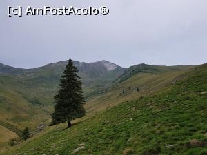 [P58] Vârful Lespezi - Am fost acolo și ne mândrim cu asta! » foto by Floryn81
 - 
<span class="allrVoted glyphicon glyphicon-heart hidden" id="av1191883"></span>
<a class="m-l-10 hidden" id="sv1191883" onclick="voting_Foto_DelVot(,1191883,2855)" role="button">șterge vot <span class="glyphicon glyphicon-remove"></span></a>
<a id="v91191883" class=" c-red"  onclick="voting_Foto_SetVot(1191883)" role="button"><span class="glyphicon glyphicon-heart-empty"></span> <b>LIKE</b> = Votează poza</a> <img class="hidden"  id="f1191883W9" src="/imagini/loader.gif" border="0" /><span class="AjErrMes hidden" id="e1191883ErM"></span>