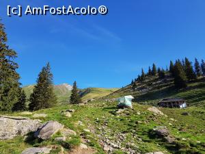 [P06] Ne apropiam de stâna din Lespezi. » foto by Floryn81
 - 
<span class="allrVoted glyphicon glyphicon-heart hidden" id="av1191831"></span>
<a class="m-l-10 hidden" id="sv1191831" onclick="voting_Foto_DelVot(,1191831,2855)" role="button">șterge vot <span class="glyphicon glyphicon-remove"></span></a>
<a id="v91191831" class=" c-red"  onclick="voting_Foto_SetVot(1191831)" role="button"><span class="glyphicon glyphicon-heart-empty"></span> <b>LIKE</b> = Votează poza</a> <img class="hidden"  id="f1191831W9" src="/imagini/loader.gif" border="0" /><span class="AjErrMes hidden" id="e1191831ErM"></span>