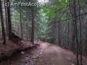 [P61] Aproape de Piscul Negru și de finalul traseului. » foto by Floryn81
 - 
<span class="allrVoted glyphicon glyphicon-heart hidden" id="av1191886"></span>
<a class="m-l-10 hidden" id="sv1191886" onclick="voting_Foto_DelVot(,1191886,2855)" role="button">șterge vot <span class="glyphicon glyphicon-remove"></span></a>
<a id="v91191886" class=" c-red"  onclick="voting_Foto_SetVot(1191886)" role="button"><span class="glyphicon glyphicon-heart-empty"></span> <b>LIKE</b> = Votează poza</a> <img class="hidden"  id="f1191886W9" src="/imagini/loader.gif" border="0" /><span class="AjErrMes hidden" id="e1191886ErM"></span>