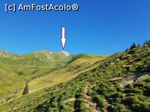 [P07] Vârful Lespezi - atât de aproape și totuși atât de departe încă! Mai aveam vreo 4 kilometri de urcat. » foto by Floryn81
 - 
<span class="allrVoted glyphicon glyphicon-heart hidden" id="av1191832"></span>
<a class="m-l-10 hidden" id="sv1191832" onclick="voting_Foto_DelVot(,1191832,2855)" role="button">șterge vot <span class="glyphicon glyphicon-remove"></span></a>
<a id="v91191832" class=" c-red"  onclick="voting_Foto_SetVot(1191832)" role="button"><span class="glyphicon glyphicon-heart-empty"></span> <b>LIKE</b> = Votează poza</a> <img class="hidden"  id="f1191832W9" src="/imagini/loader.gif" border="0" /><span class="AjErrMes hidden" id="e1191832ErM"></span>