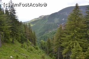 [P31]  -- <small>// FĂRĂ DESCRIERE</small> » foto by AZE
 - 
<span class="allrVoted glyphicon glyphicon-heart hidden" id="av970568"></span>
<a class="m-l-10 hidden" id="sv970568" onclick="voting_Foto_DelVot(,970568,2855)" role="button">șterge vot <span class="glyphicon glyphicon-remove"></span></a>
<a id="v9970568" class=" c-red"  onclick="voting_Foto_SetVot(970568)" role="button"><span class="glyphicon glyphicon-heart-empty"></span> <b>LIKE</b> = Votează poza</a> <img class="hidden"  id="f970568W9" src="/imagini/loader.gif" border="0" /><span class="AjErrMes hidden" id="e970568ErM"></span>