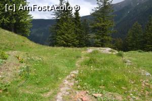 [P44] aici a fost intrarea, la dreapta dormitorul dela parter, la stanga bucataria si barul, in mijloc un hol, stanga spate sala de mese, dreapta spate (betonata) terasa acoperita » foto by AZE
 - 
<span class="allrVoted glyphicon glyphicon-heart hidden" id="av970581"></span>
<a class="m-l-10 hidden" id="sv970581" onclick="voting_Foto_DelVot(,970581,2855)" role="button">șterge vot <span class="glyphicon glyphicon-remove"></span></a>
<a id="v9970581" class=" c-red"  onclick="voting_Foto_SetVot(970581)" role="button"><span class="glyphicon glyphicon-heart-empty"></span> <b>LIKE</b> = Votează poza</a> <img class="hidden"  id="f970581W9" src="/imagini/loader.gif" border="0" /><span class="AjErrMes hidden" id="e970581ErM"></span>