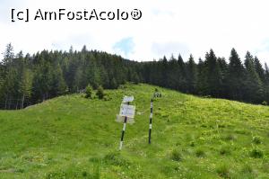 [P45]  -- <small>// FĂRĂ DESCRIERE</small> » foto by AZE
 - 
<span class="allrVoted glyphicon glyphicon-heart hidden" id="av970582"></span>
<a class="m-l-10 hidden" id="sv970582" onclick="voting_Foto_DelVot(,970582,2855)" role="button">șterge vot <span class="glyphicon glyphicon-remove"></span></a>
<a id="v9970582" class=" c-red"  onclick="voting_Foto_SetVot(970582)" role="button"><span class="glyphicon glyphicon-heart-empty"></span> <b>LIKE</b> = Votează poza</a> <img class="hidden"  id="f970582W9" src="/imagini/loader.gif" border="0" /><span class="AjErrMes hidden" id="e970582ErM"></span>