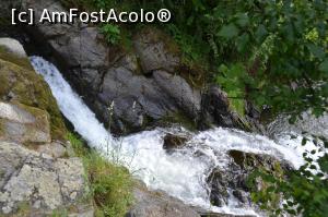 [P48] Asa drumetie, asa rasplata-baia de dupa excursie » foto by AZE
 - 
<span class="allrVoted glyphicon glyphicon-heart hidden" id="av970585"></span>
<a class="m-l-10 hidden" id="sv970585" onclick="voting_Foto_DelVot(,970585,2855)" role="button">șterge vot <span class="glyphicon glyphicon-remove"></span></a>
<a id="v9970585" class=" c-red"  onclick="voting_Foto_SetVot(970585)" role="button"><span class="glyphicon glyphicon-heart-empty"></span> <b>LIKE</b> = Votează poza</a> <img class="hidden"  id="f970585W9" src="/imagini/loader.gif" border="0" /><span class="AjErrMes hidden" id="e970585ErM"></span>