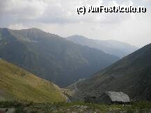 [P33]  -- <small>// FĂRĂ DESCRIERE</small> » foto by ovi2stanciu
 - 
<span class="allrVoted glyphicon glyphicon-heart hidden" id="av31362"></span>
<a class="m-l-10 hidden" id="sv31362" onclick="voting_Foto_DelVot(,31362,2855)" role="button">șterge vot <span class="glyphicon glyphicon-remove"></span></a>
<a id="v931362" class=" c-red"  onclick="voting_Foto_SetVot(31362)" role="button"><span class="glyphicon glyphicon-heart-empty"></span> <b>LIKE</b> = Votează poza</a> <img class="hidden"  id="f31362W9" src="/imagini/loader.gif" border="0" /><span class="AjErrMes hidden" id="e31362ErM"></span>