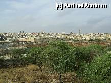 [P10] Meknes - Orasul modern. » foto by iulianic
 - 
<span class="allrVoted glyphicon glyphicon-heart hidden" id="av297259"></span>
<a class="m-l-10 hidden" id="sv297259" onclick="voting_Foto_DelVot(,297259,2870)" role="button">șterge vot <span class="glyphicon glyphicon-remove"></span></a>
<a id="v9297259" class=" c-red"  onclick="voting_Foto_SetVot(297259)" role="button"><span class="glyphicon glyphicon-heart-empty"></span> <b>LIKE</b> = Votează poza</a> <img class="hidden"  id="f297259W9" src="/imagini/loader.gif" border="0" /><span class="AjErrMes hidden" id="e297259ErM"></span>