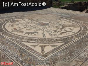 [P28] Un frumos mozaic la Volubilis » foto by Costi
 - 
<span class="allrVoted glyphicon glyphicon-heart hidden" id="av836110"></span>
<a class="m-l-10 hidden" id="sv836110" onclick="voting_Foto_DelVot(,836110,2870)" role="button">șterge vot <span class="glyphicon glyphicon-remove"></span></a>
<a id="v9836110" class=" c-red"  onclick="voting_Foto_SetVot(836110)" role="button"><span class="glyphicon glyphicon-heart-empty"></span> <b>LIKE</b> = Votează poza</a> <img class="hidden"  id="f836110W9" src="/imagini/loader.gif" border="0" /><span class="AjErrMes hidden" id="e836110ErM"></span>