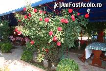 [P16]  -- <small>// FĂRĂ DESCRIERE</small> » foto by casamargo
 - 
<span class="allrVoted glyphicon glyphicon-heart hidden" id="av54993"></span>
<a class="m-l-10 hidden" id="sv54993" onclick="voting_Foto_DelVot(,54993,2870)" role="button">șterge vot <span class="glyphicon glyphicon-remove"></span></a>
<a id="v954993" class=" c-red"  onclick="voting_Foto_SetVot(54993)" role="button"><span class="glyphicon glyphicon-heart-empty"></span> <b>LIKE</b> = Votează poza</a> <img class="hidden"  id="f54993W9" src="/imagini/loader.gif" border="0" /><span class="AjErrMes hidden" id="e54993ErM"></span>