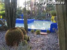 [P15] Gradina Majorelle » foto by Michi
 - 
<span class="allrVoted glyphicon glyphicon-heart hidden" id="av68570"></span>
<a class="m-l-10 hidden" id="sv68570" onclick="voting_Foto_DelVot(,68570,2870)" role="button">șterge vot <span class="glyphicon glyphicon-remove"></span></a>
<a id="v968570" class=" c-red"  onclick="voting_Foto_SetVot(68570)" role="button"><span class="glyphicon glyphicon-heart-empty"></span> <b>LIKE</b> = Votează poza</a> <img class="hidden"  id="f68570W9" src="/imagini/loader.gif" border="0" /><span class="AjErrMes hidden" id="e68570ErM"></span>