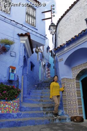 [P24] Chefchaouen » foto by Mary Năstase
 - 
<span class="allrVoted glyphicon glyphicon-heart hidden" id="av1254731"></span>
<a class="m-l-10 hidden" id="sv1254731" onclick="voting_Foto_DelVot(,1254731,2870)" role="button">șterge vot <span class="glyphicon glyphicon-remove"></span></a>
<a id="v91254731" class=" c-red"  onclick="voting_Foto_SetVot(1254731)" role="button"><span class="glyphicon glyphicon-heart-empty"></span> <b>LIKE</b> = Votează poza</a> <img class="hidden"  id="f1254731W9" src="/imagini/loader.gif" border="0" /><span class="AjErrMes hidden" id="e1254731ErM"></span>