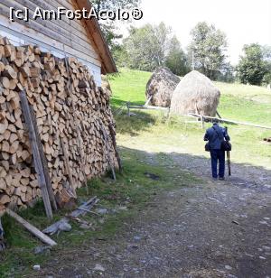 [P29] Muzeul Pătrăhăițești, Arieșeni, Alba, Apuseni » foto by Mioritik
 - 
<span class="allrVoted glyphicon glyphicon-heart hidden" id="av1290568"></span>
<a class="m-l-10 hidden" id="sv1290568" onclick="voting_Foto_DelVot(,1290568,2923)" role="button">șterge vot <span class="glyphicon glyphicon-remove"></span></a>
<a id="v91290568" class=" c-red"  onclick="voting_Foto_SetVot(1290568)" role="button"><span class="glyphicon glyphicon-heart-empty"></span> <b>LIKE</b> = Votează poza</a> <img class="hidden"  id="f1290568W9" src="/imagini/loader.gif" border="0" /><span class="AjErrMes hidden" id="e1290568ErM"></span>