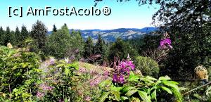 [P24] În drumul spre Cascada Pătrăhăițești natura este generoasă cu noi » foto by gettyy
 - 
<span class="allrVoted glyphicon glyphicon-heart hidden" id="av1100763"></span>
<a class="m-l-10 hidden" id="sv1100763" onclick="voting_Foto_DelVot(,1100763,2923)" role="button">șterge vot <span class="glyphicon glyphicon-remove"></span></a>
<a id="v91100763" class=" c-red"  onclick="voting_Foto_SetVot(1100763)" role="button"><span class="glyphicon glyphicon-heart-empty"></span> <b>LIKE</b> = Votează poza</a> <img class="hidden"  id="f1100763W9" src="/imagini/loader.gif" border="0" /><span class="AjErrMes hidden" id="e1100763ErM"></span>