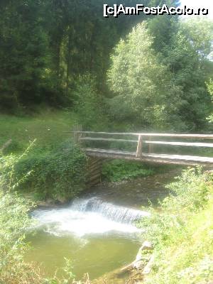 [P10] Cascada lui Horea, la intrarea in sat » foto by dorgo
 - 
<span class="allrVoted glyphicon glyphicon-heart hidden" id="av669502"></span>
<a class="m-l-10 hidden" id="sv669502" onclick="voting_Foto_DelVot(,669502,2923)" role="button">șterge vot <span class="glyphicon glyphicon-remove"></span></a>
<a id="v9669502" class=" c-red"  onclick="voting_Foto_SetVot(669502)" role="button"><span class="glyphicon glyphicon-heart-empty"></span> <b>LIKE</b> = Votează poza</a> <img class="hidden"  id="f669502W9" src="/imagini/loader.gif" border="0" /><span class="AjErrMes hidden" id="e669502ErM"></span>